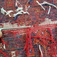 تعمیرات تخصصی فرش اژدری  (رفو،تعمیرکارقالی،رفوگری)|خدمات پیشه و مهارت|شیراز, تندگویان|دیوار