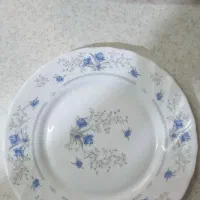 پیش دستی ارکوپال