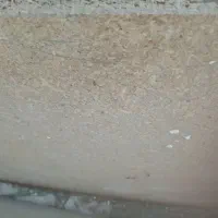 تخته نئوپان