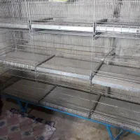 قفس ۶ خان‌ و ۹ خان غلامی،گنجه چوبی و آبدونی|لوازم جانبی حیوانات|قم, ناصردیوان|دیوار