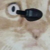 آنتن برقی ماشین دو تیکه|قطعات یدکی و لوازم جانبی|کرمانشاه, |دیوار