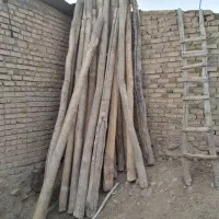 25عدد تیره چوبی