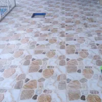 کاشی کاری علی