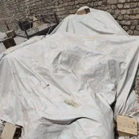 زل کبوتر|خدمات باغبانی و درختکاری|اصفهان, ارغوانیه|دیوار