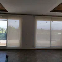 زبرا، شید، دو مکانیزم