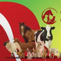 مجتمع درمانی دامپزشکی دکتر مهدوی شهری تپه سلام