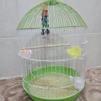 قفس پرنده