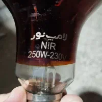 لامپ مادون قرمز|لامپ و چراغ|بهبهان, |دیوار