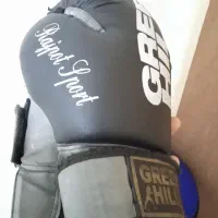 کیسه بوکس به همراه دستکش بوکس|تجهیزات ورزشی|میانه, |دیوار