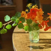 فال قهوه وتاروت