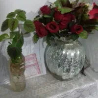 قلمه پتوس بزرگ قلمه گل یخی بزرگ|گل و گیاه طبیعی|سبزوار, باهنر|دیوار