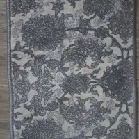 کناره پنجاه در دو نیم به همراه ۵ پادری