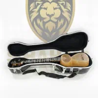 هادی کیس تار آذری باکس جعبه اورجینال ضدی ضربه|سازهای سنتی|تبریز, |دیوار