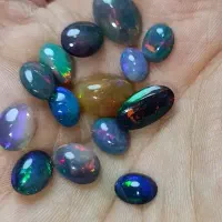 عقیق شجر جاسپر قیمت کف کشور