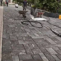 سنگ لاشه میگون