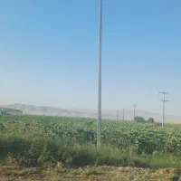 ۱۴هکتاریکپارچه آبی سندتکبرگ میاندربند
