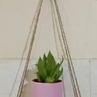 شلف دیواری|کتابخانه، شلف، قفسه‌های دیواری|بجنورد, |دیوار