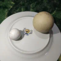 سلام دو عده سنگ الماس هست بفروش میرسدب قیمت