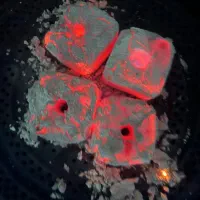 ذغال جکسون (چینی)