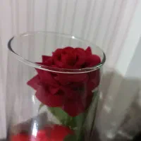 گلدان وگل|گل مصنوعی|تهران, تهرانپارس غربی|دیوار