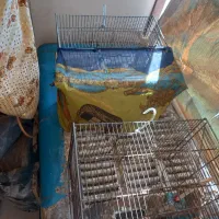 قفس سره سایز ۴