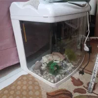 اکواریوم اماده شیشه خم شرکتی