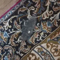 قالی|فرش|ایذه, |دیوار