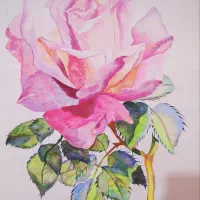 تقویتی املاوفارسی برای گل های مدرسه...|خدمات آموزشی|مراغه, |دیوار