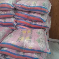 برنج پاکستانی|خوردنی و آشامیدنی|رشت, منظریه|دیوار