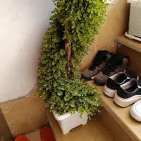 گل زیبــا|گل مصنوعی|کوهدشت, |دیوار