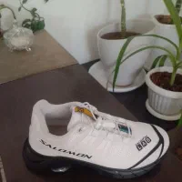 کتونی سایز40