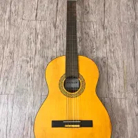فروش گیتار