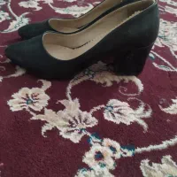 کفش درحد نو|کیف، کفش، کمربند|لردگان, |دیوار