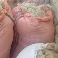 پشم گوسفند|رختخواب، بالش، پتو|ارومیه, |دیوار