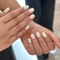 کاشت رایگان