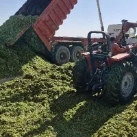 کارگر گاوداری و مرغداری