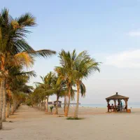 همخونه میشم