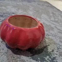 ۲عدد گلدان