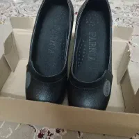 کفش مجلسی|کیف، کفش، کمربند|گنبد کاووس, |دیوار