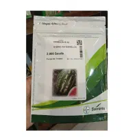 ارقام بیضی تایلندی و هندی شرکتی فلات