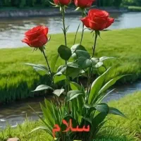 کارگر ساده ساختمانی با نهار وجای خواب روزی ۹۰۰