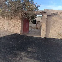 دامداری