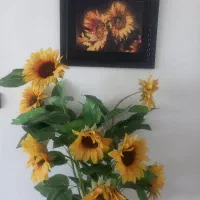گل مصنوعی وقاب عکس
