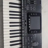 KORG pa3X76key|پیانو، کیبورد، آکاردئون|نقده, |دیوار