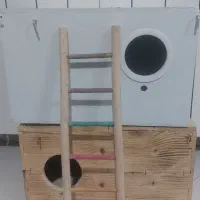 لونه و نردبون پرنده