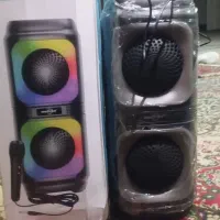 باند همراه با میکروفن