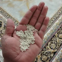 برنج محلی بروجرد|خوردنی و آشامیدنی|اصفهان, کوی امام|دیوار