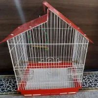 قفس|لوازم جانبی حیوانات|کرمان, |دیوار