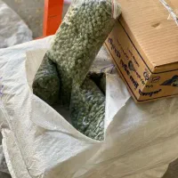 باقالی سبز|خوردنی و آشامیدنی|تهران, توحید|دیوار