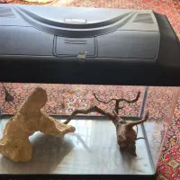 آکواریوم ماهیران